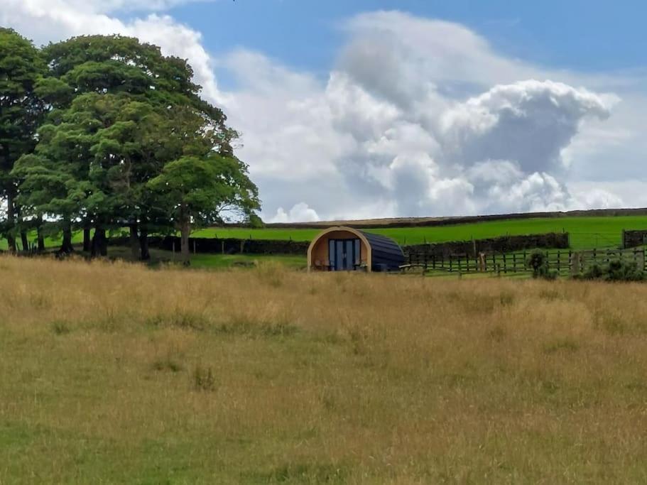 Apartment High Whashton Springs Glamping Pod, Richmond Yorks Richmond (North Yorkshire)